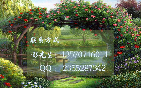聯系方式