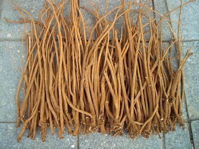 千斤拔提取物