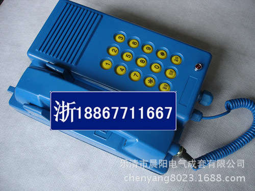 DSC04254_副本_副本