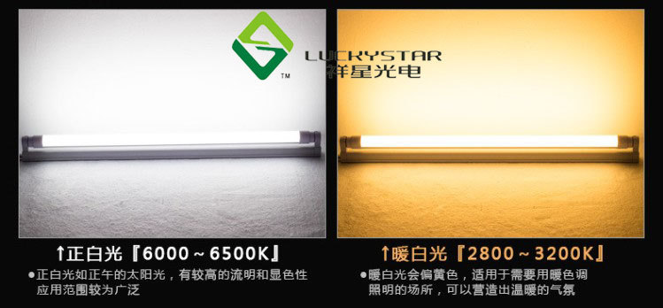 灯管9