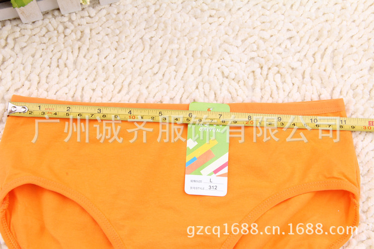 GS673 纯色女士内裤 (26)