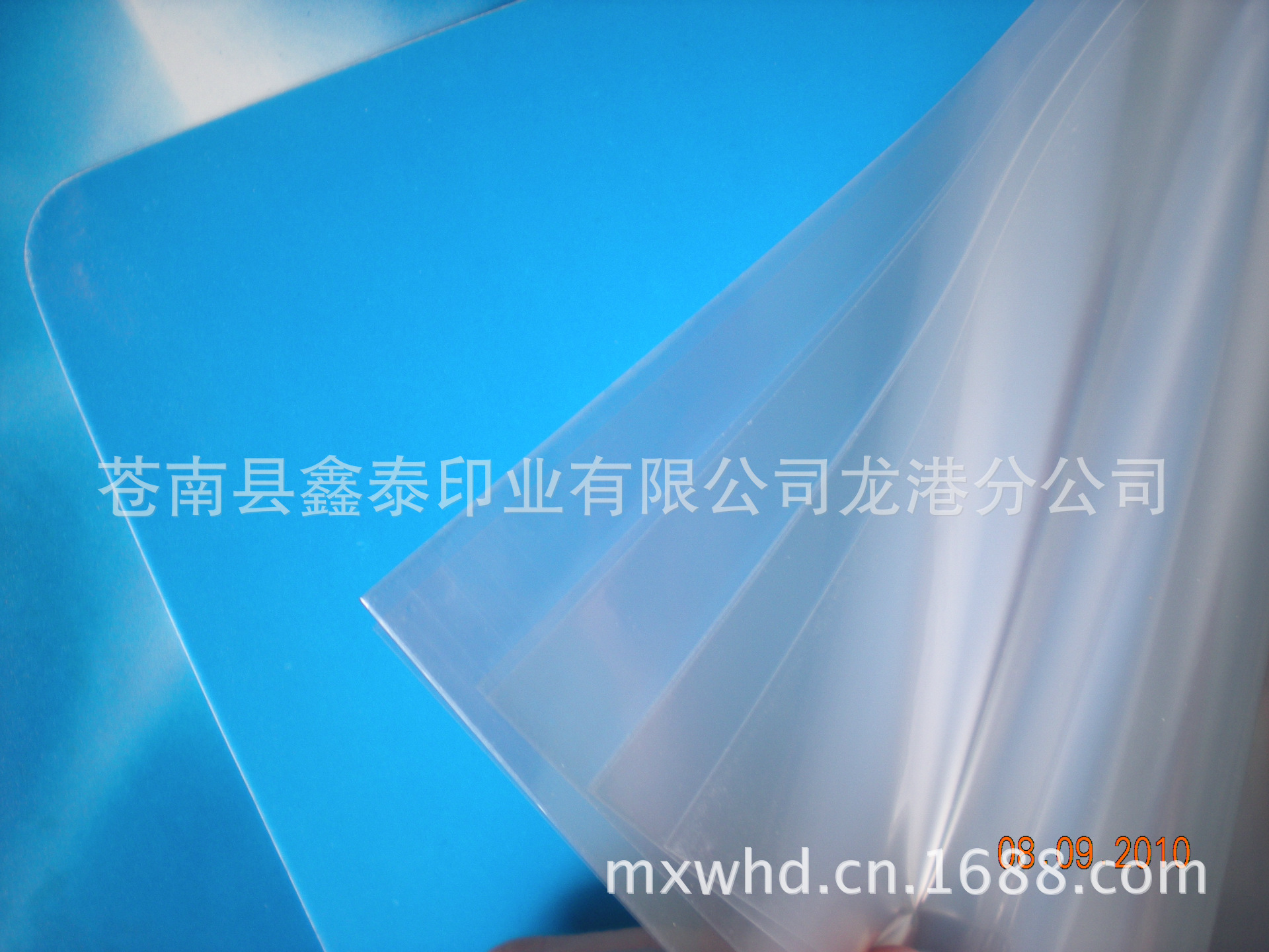 DSCN6338