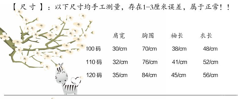 20款尺寸