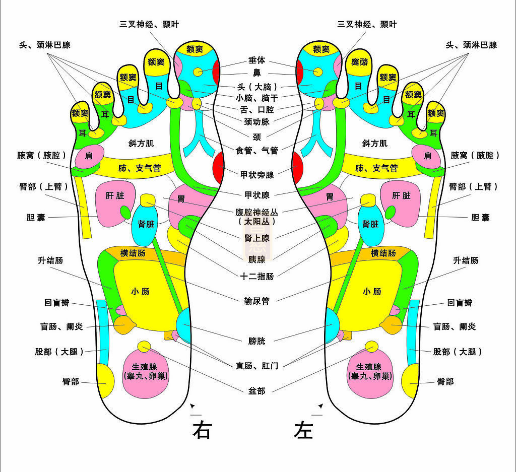 T2szX_XhXbXXXXXXXX_!!715328113