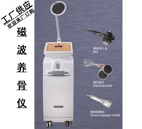 復件 (2) 磁波經絡養骨機器