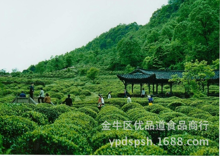 蒙尖 蒙顶山茶 茉莉花 春茶 蒙尖绿茶 100g 2013 特级 茶叶