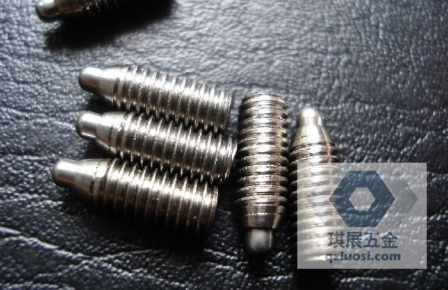 不锈钢弹簧柱塞6
