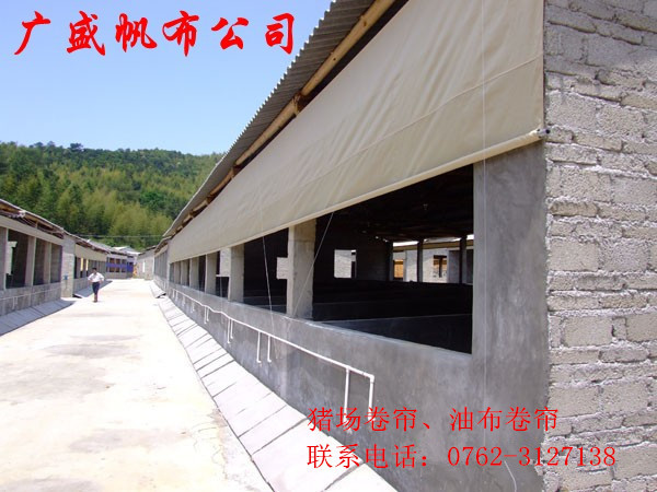 11_conew1_副本