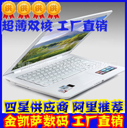 金凱薩Title