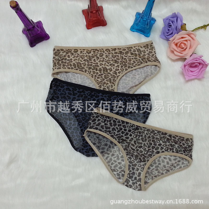 特價性感豹紋網紗少女內褲 低腰內褲1