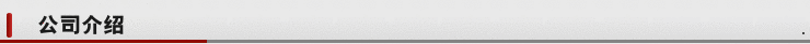 公司介绍