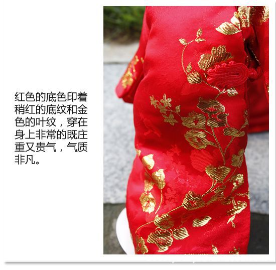 2011120261810953