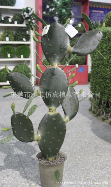 QQ截图20130629171426