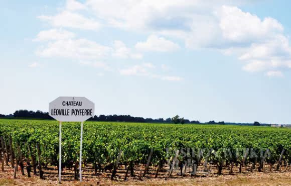 进口葡萄酒 法国罗西伯爵干红 招商代理图片_10