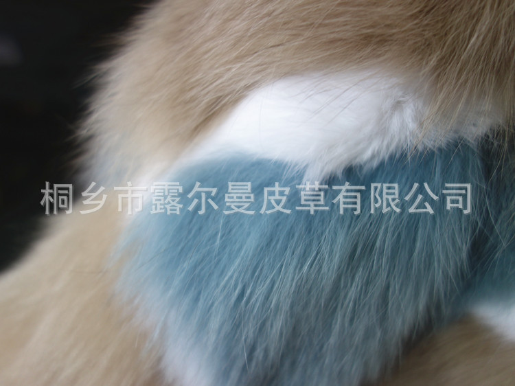 DSC09779_副本