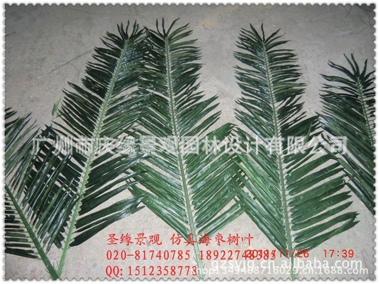 qq图片20130614101644