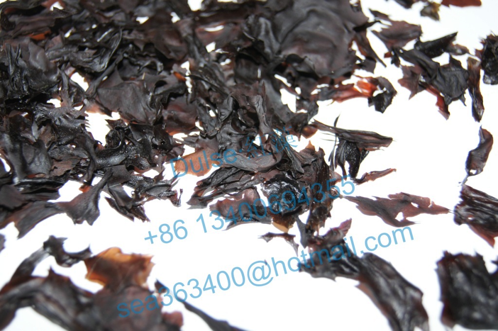 红藻dulse 掌状红皮藻 果冻胶水用的海藻 卡拉胶原料