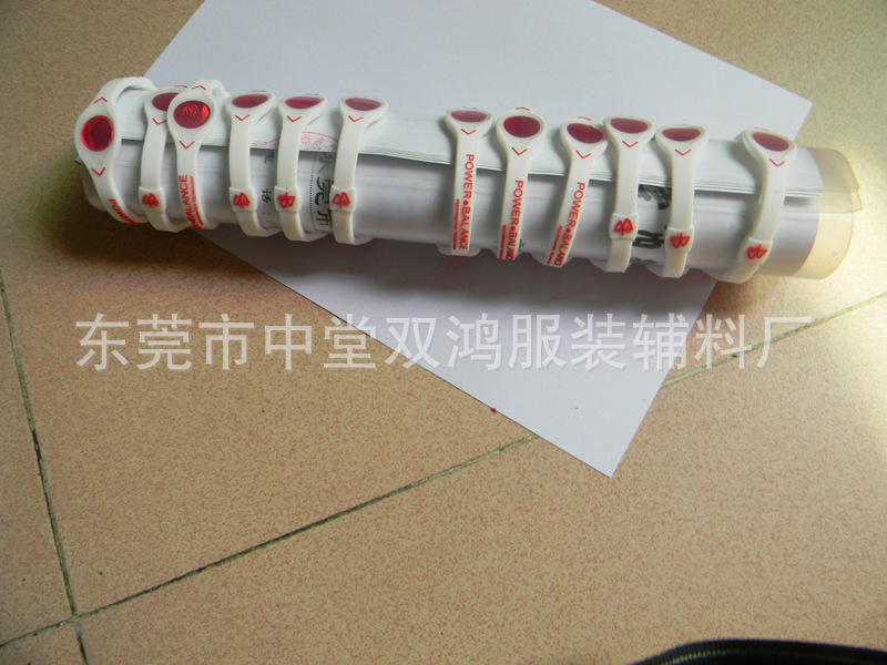 DSCN4084