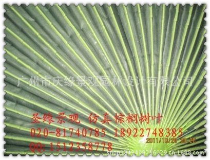 qq图片20130614101721