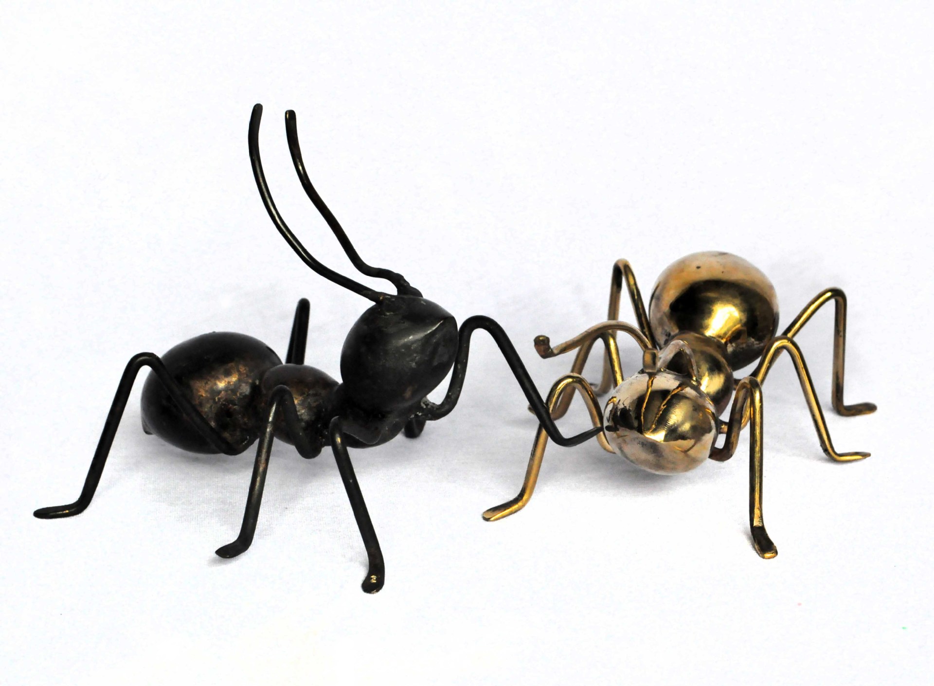 定制不锈钢雕塑动物蚂蚁图片_6