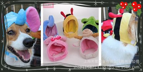 狗帽組合