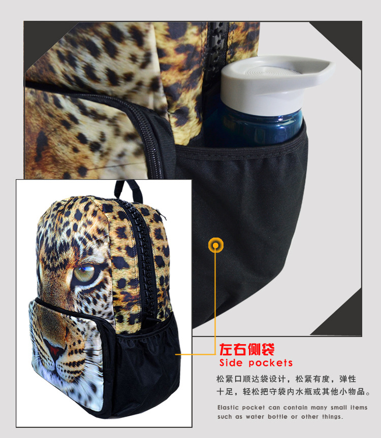 bbp101 new detail