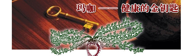 云南丽江紫玛� 玛咖 MACA-20-5