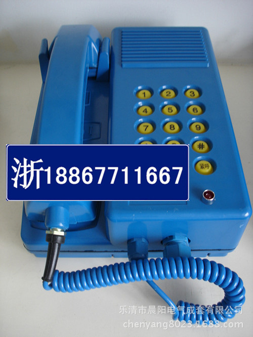 DSC04230_副本_副本