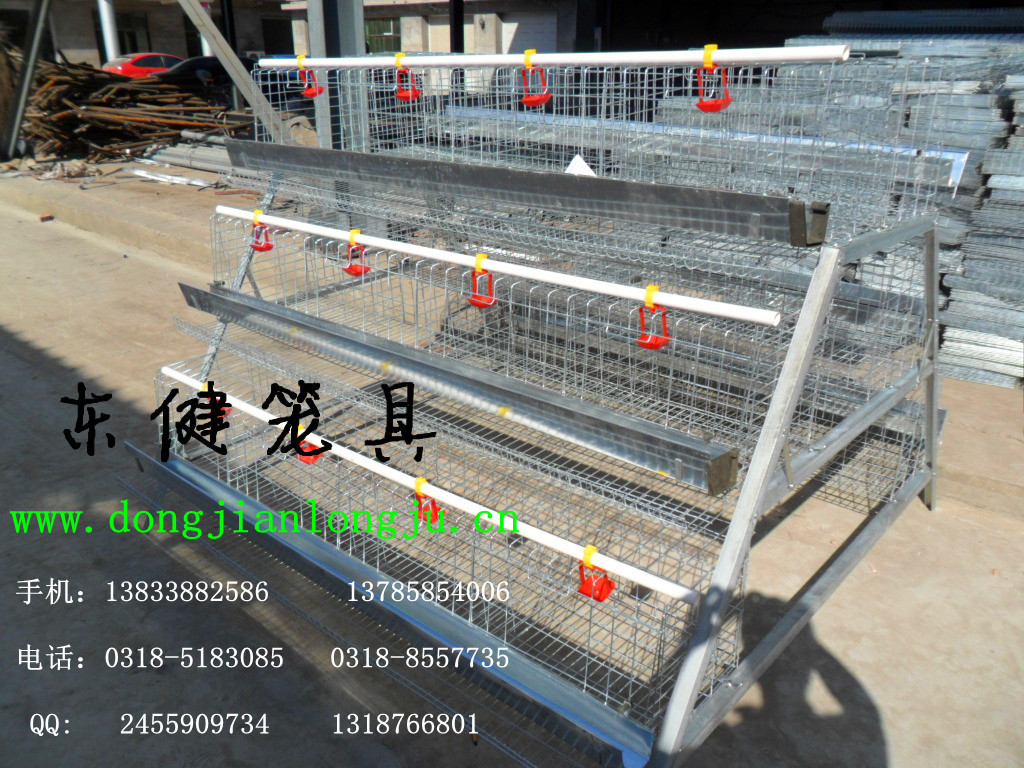 SAM_0790_副本