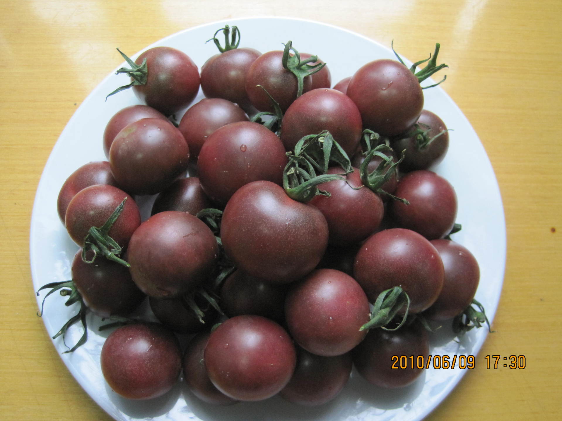 批发进口特色蔬菜种子 英国小果黑番茄种子 西红柿种子