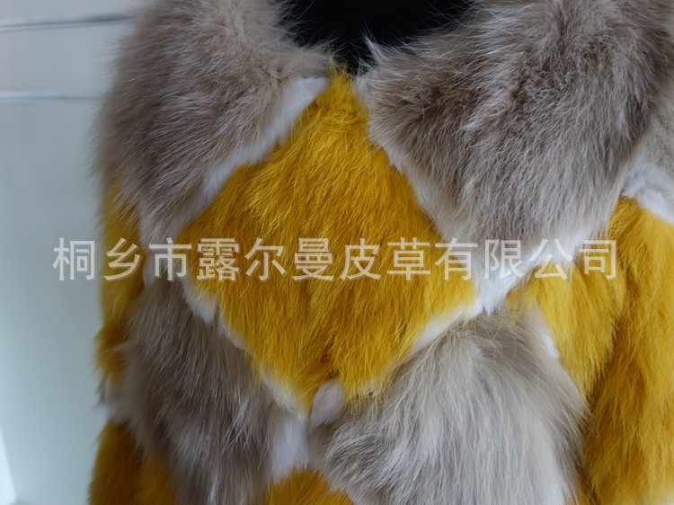 DSC09800_副本