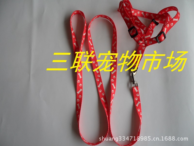 SAM_0908