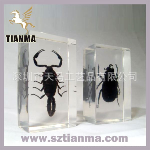 insectpair