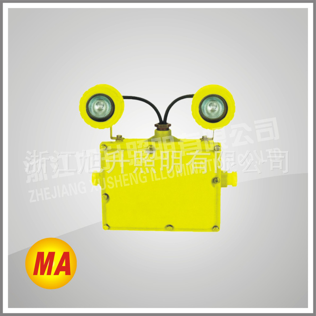 DGS□-127L(YJ)--CBXW6229