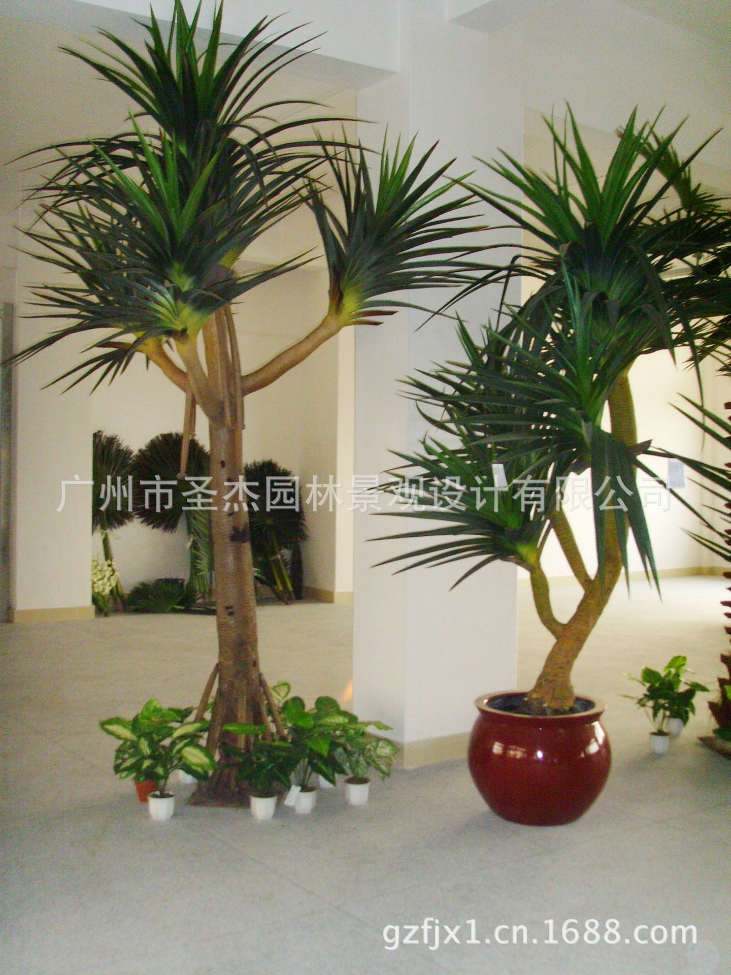 仿真植物龙雪铁树 江苏主推各款室内外仿真植物龙雪铁树系列图片_9