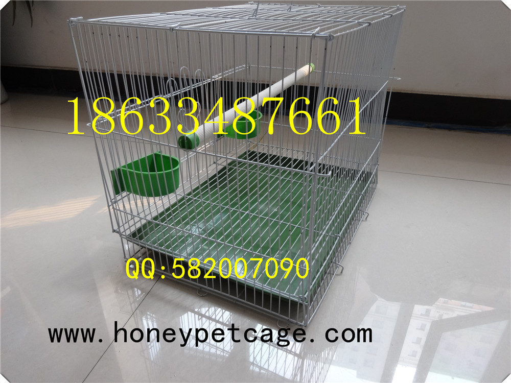 铁丝鸟笼 小群 (6)