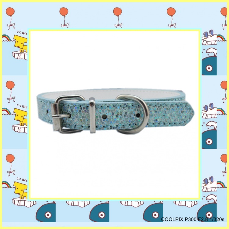 DSCN0951_conew11
