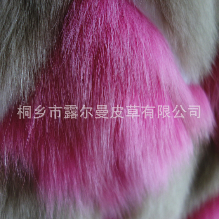 DSC00144_副本