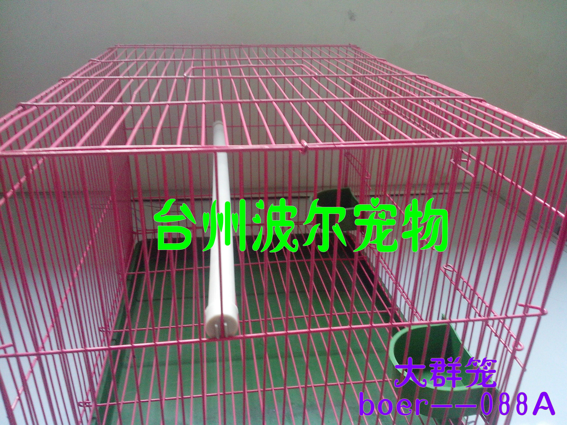 boer--088A-2大群籠