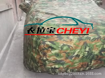 照片-016