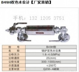 B49H雙色水位計