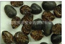 其他养生原料产地:河北产品属性:昆虫类动物性:寒 相关产品:中药粉中