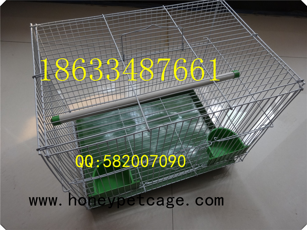 铁丝鸟笼 小群 (18)