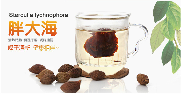 专业生产 / 胖大海茶 清咽润喉茶 厂家直销 正品低价
