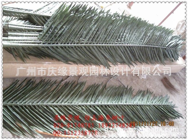 qq图片20130614101559