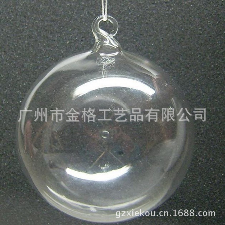 水培5