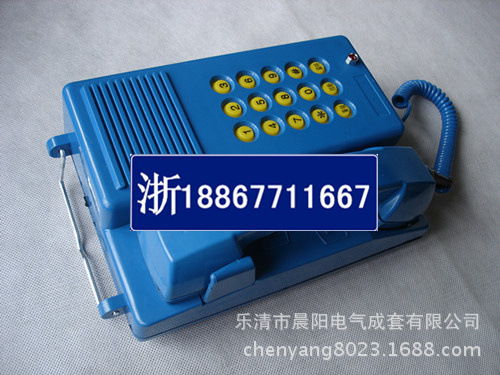 DSC04252_副本_副本