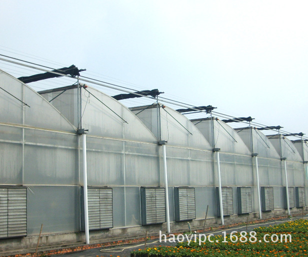 温室大棚7