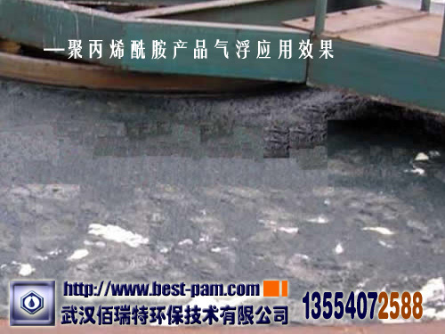 屠宰行业污水处理聚丙烯酰胺气浮效果