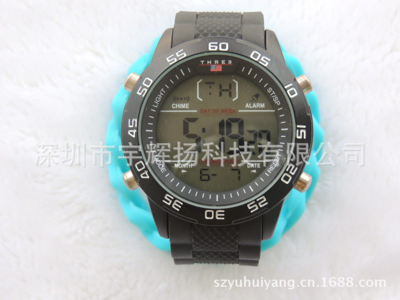 DSCN3511
